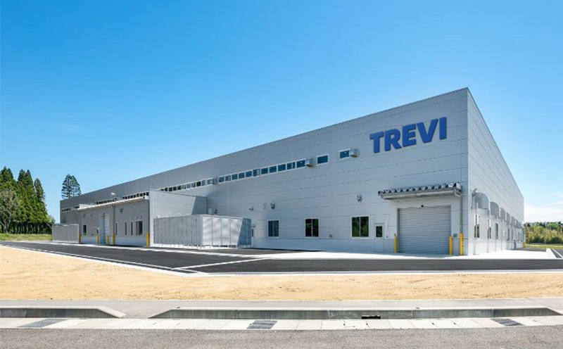 Why choose TREVI sculpture factory